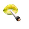 Smokelips